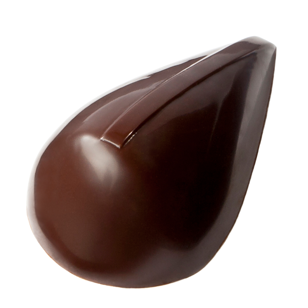 CHOCOLATE MOLD - DAVID PASQUIET